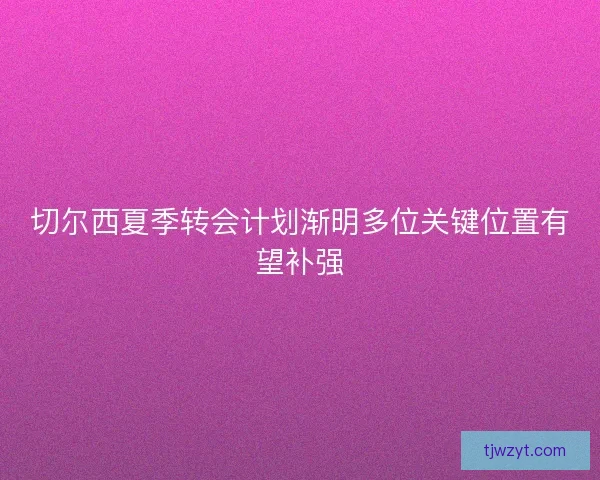 切尔西夏季转会计划渐明多位关键位置有望补强